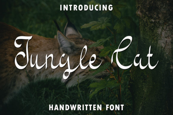 Jungle Cat Font: Casual Script for Digital Marketing