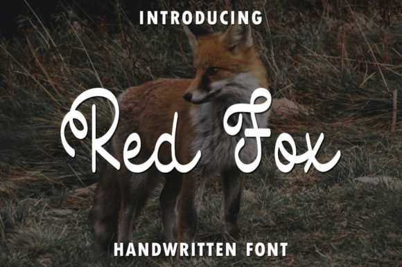 Red Fox Font: Elevating Editorial Design and Content