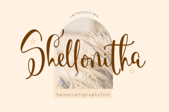 Shellonitha: A Sweet Script Font That Elevates Digital Campaigns